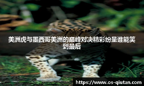 球探体育比分网