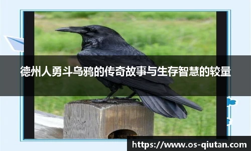 球探体育比分网